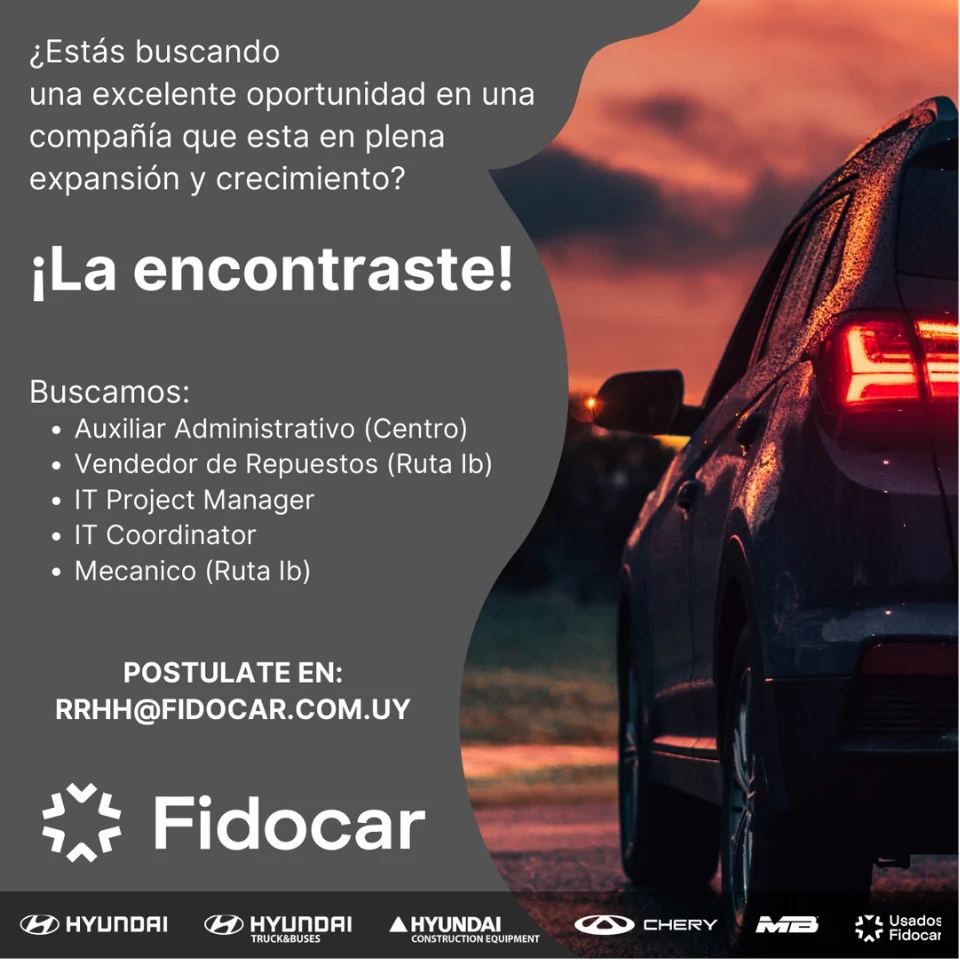 Piezas para redes y campañas